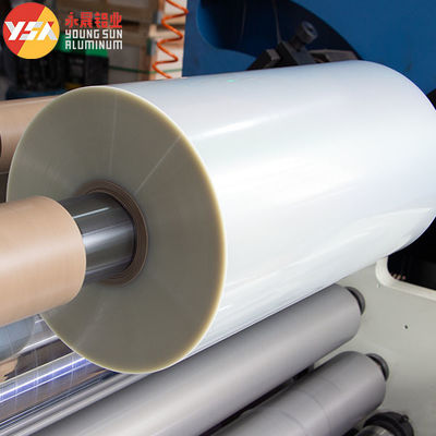 Açık Şeffaf PET+PE Plastik Polyester Laminasyonlu Paketli Folyo